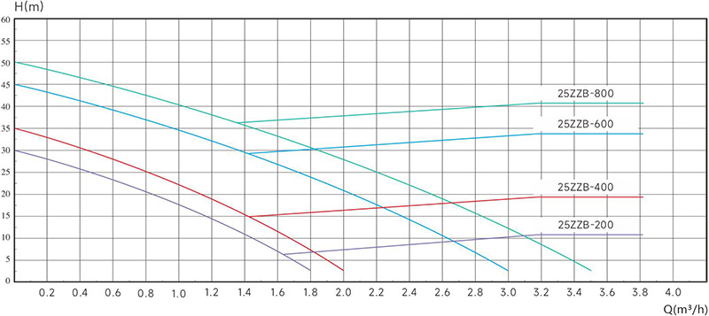 ecp21-01.jpg